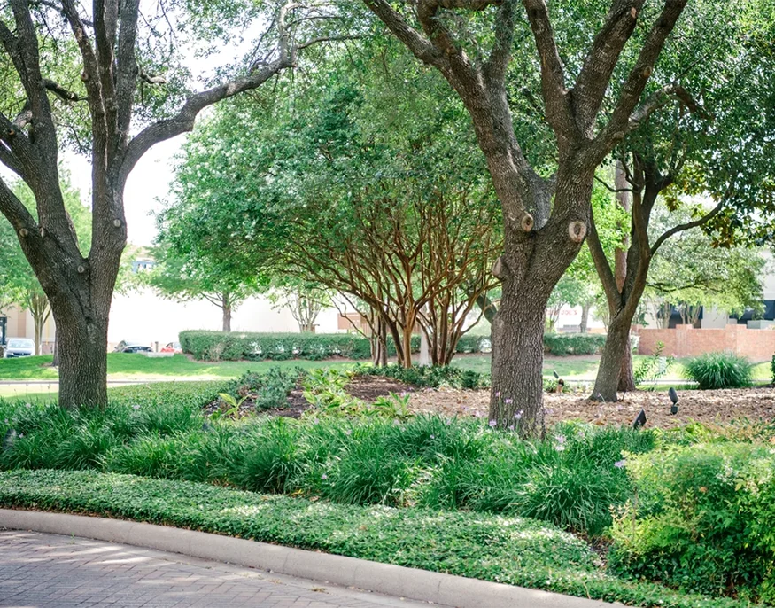 commercial interior landscaping companies Houston