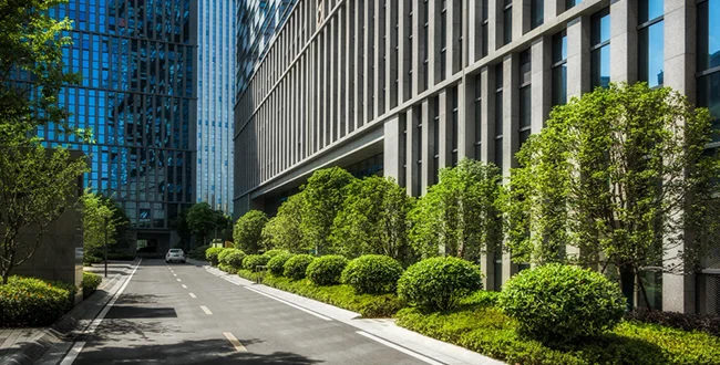 commercial interior plantscaping Houston