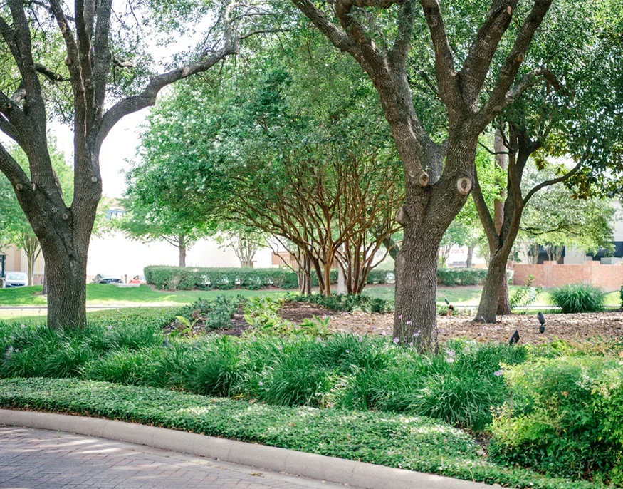 commercial irrigation companies Dallas/Fort Worth