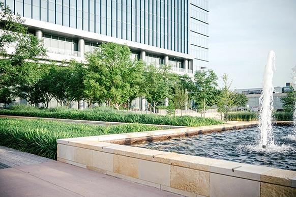 commercial landscape designers DFW