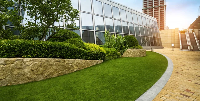 commercial landscape maintenance DFW