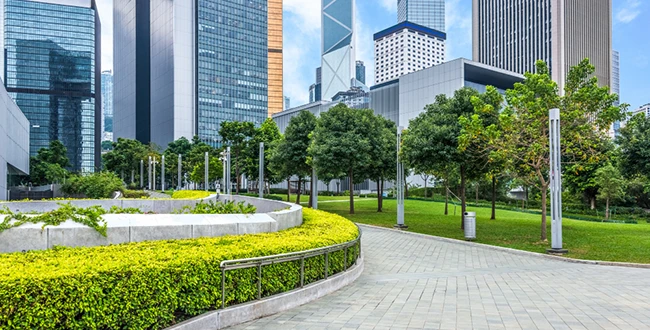 Dallas commercial landscape maintenance services