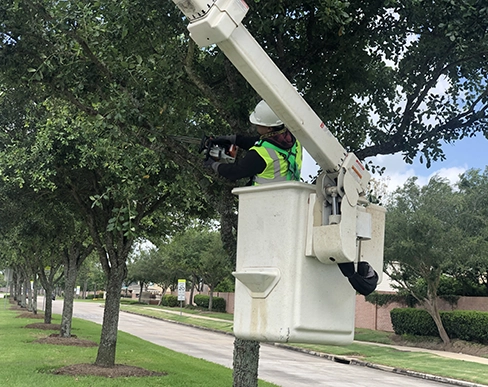commercial tree service Houston