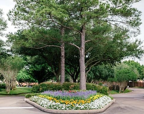 HOA landscapers Houston