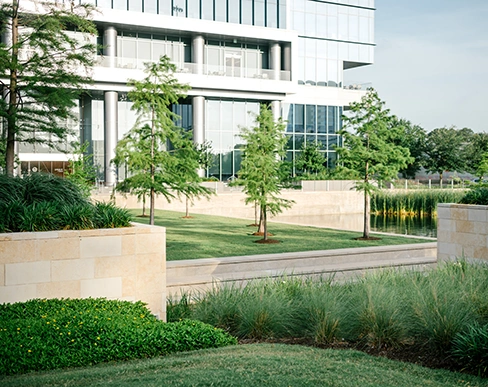office building landscaping services Houston